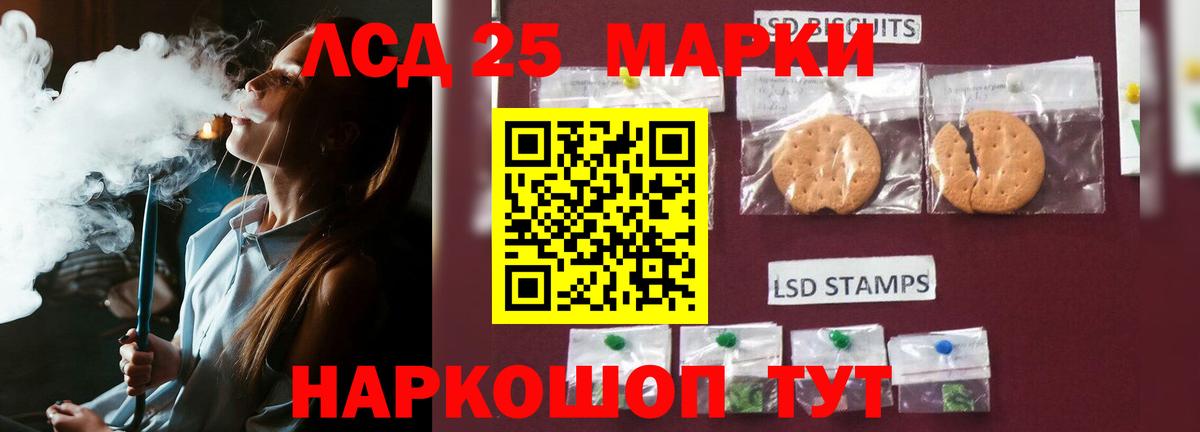 Новозыбков  ЛСД экстази ecstasy  Вход с VPN  ЛСД экстази  Лсд 25 экстази ecstasy 
