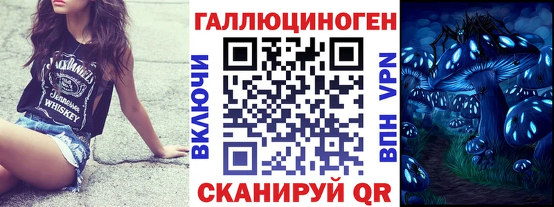 Галлюциногенные грибы Cubensis Новозыбков