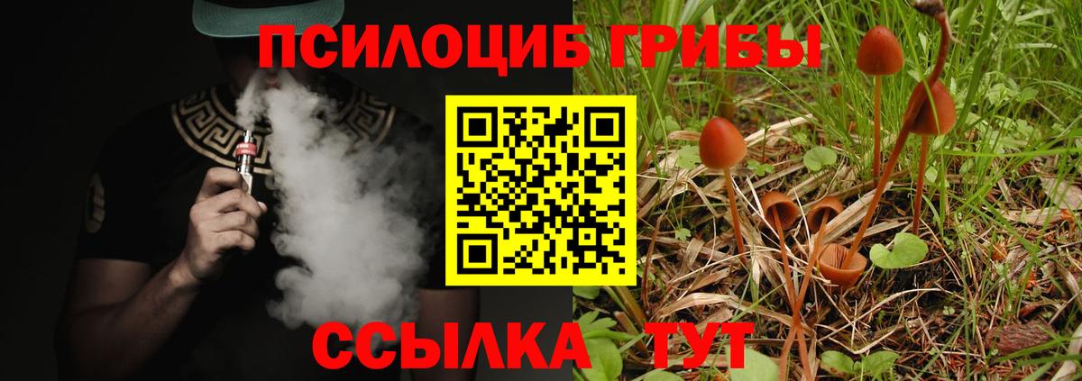 Псилоцибиновые грибы Cubensis  Вход с VPN  Новозыбков 