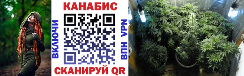 МАРИХУАНА конопля Новозыбков
